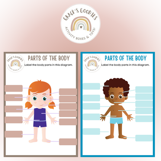 Label the body chart